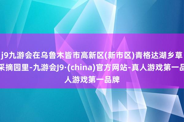 j9九游会在乌鲁木皆市高新区(新市区)青格达湖乡草莓采摘园里-九游会J9·(china)官方网站-真人游戏第一品牌