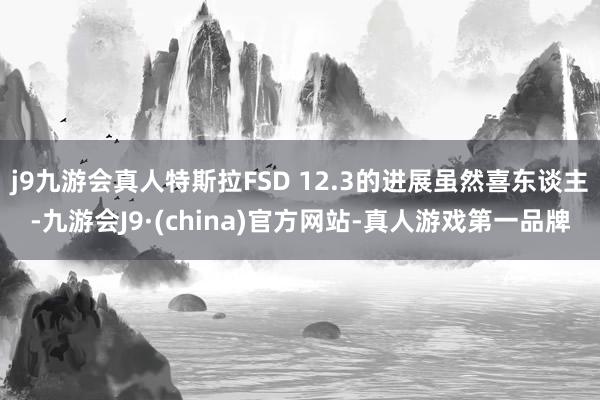 j9九游会真人特斯拉FSD 12.3的进展虽然喜东谈主-九游会J9·(china)官方网站-真人游戏第一品牌