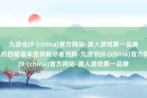 九游会J9·(china)官方网站-真人游戏第一品牌并推出单电机以及双电机四驱版车型供耗尽者选购-九游会J9·(china)官方网站-真人游戏第一品牌