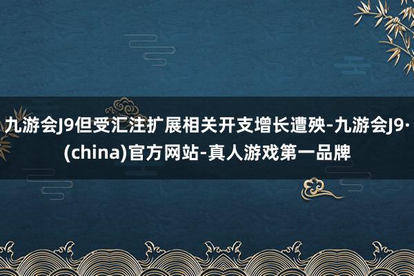 九游会J9但受汇注扩展相关开支增长遭殃-九游会J9·(china)官方网站-真人游戏第一品牌